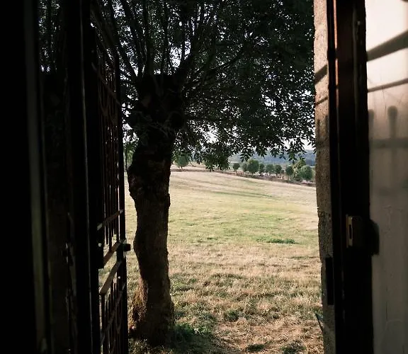 The Tavern Bed & Breakfast