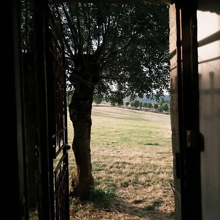 The Tavern Frühstückspension